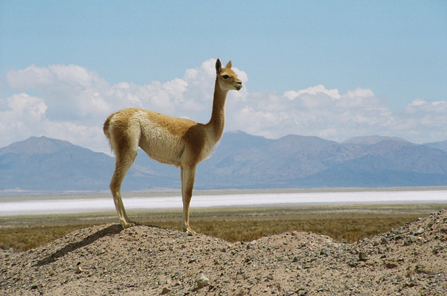 A Argentina essencial | Turismo e dicas de viagem