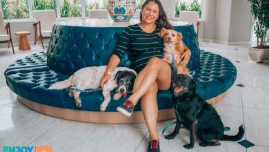 Aceitar pet não é ser pet friendly