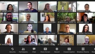 BRACELL TOMA POSSE NO CONSELHO DO PACTO PELA MATA ATLÂNTICA