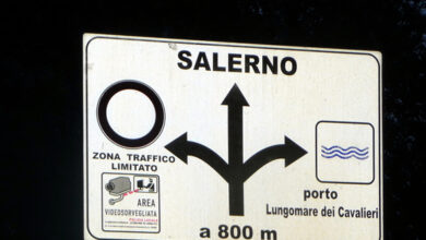 Tome a sério placas sobre animais na pista
