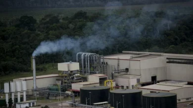 GOVERNO DO ESTADO FECHA MAIOR INVESTIMENTO EM PESQUISA DA HISTÓRIA DA BA