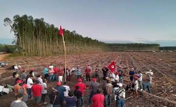 MST INVADE TRÊS FAZENDAS NA BAHIA NESTE DOMINGO
