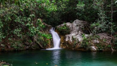 Embratur realiza press trip em BRA e GO com jornalistas