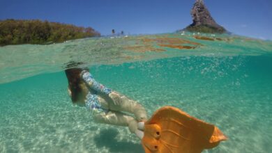 Fernando de Noronha concorre a três indicações no “Oscar do turismo”