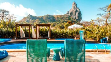 Fernando de Noronha recebe famtour com 12 agentes de SP e MG