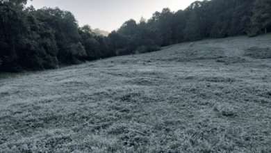Monte Verde (MG) registra temperatura menor que 0°