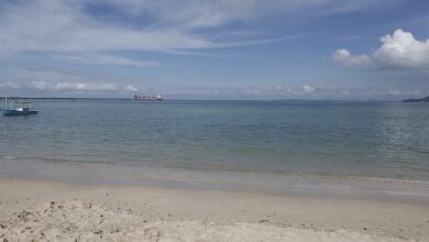 PEIXES E SIRIS APARECEM MORTOS EM PRAIA DE SÃO TOMÉ DE PARIPE