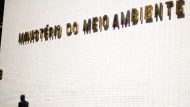 PORTARIAS AUTORIZAM CONCURSOS PARA MINISTÉRIO DO MEIO AMBIENTE E FUNAI