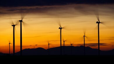 o caminho para um futuro sustentável