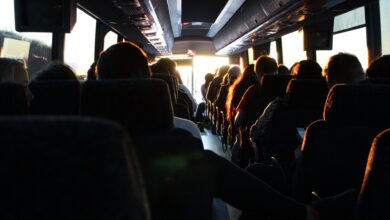 promovendo a cultura e a diversidade no Brasil