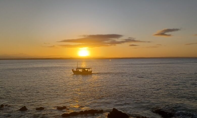 Bahia, Brasil, Gregório de Matos e chatGPT