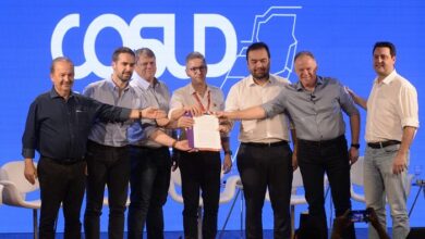 Governadores assinam protocolo de formalização do Cosud