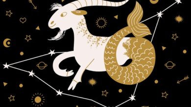 Quais os 4 signos mais leais do zodíaco? Confira