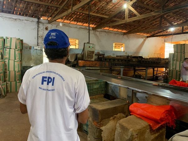 FISCALIZAÇÃO ENCONTRA MAIS DE 20 TRABALHADORES IRREGULARES EM FAZENDA NA BAHIA