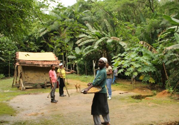 FUNDAÇÃO CULTURAL PALMARES RECONHECE MAIS 23 COMUNIDADES QUILOMBOLAS, 7 FICAM NA BAHIA