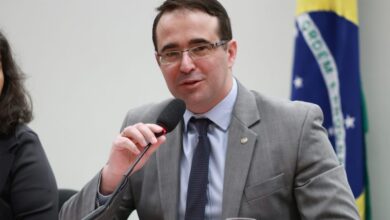 Projeto torna obrigatória criação de banheiros para cães e gatos em novos aeroportos