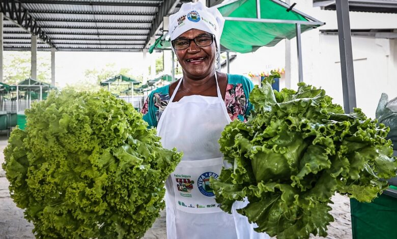 Requalificação e construção de mercados municipais impulsionam agricultura familiar na Bahia