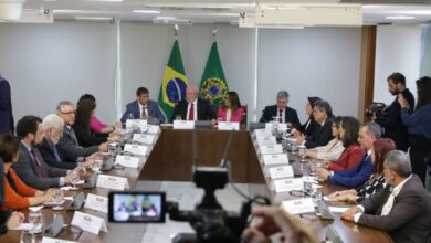 agricultores familiares ofertam 248 mil toneladas de alimentos