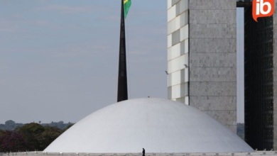 projeto que regula mercado de carbono é apresentado no Senado