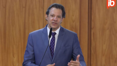 Haddad espera aprovação de meios para Plano de Transformação Ecológica