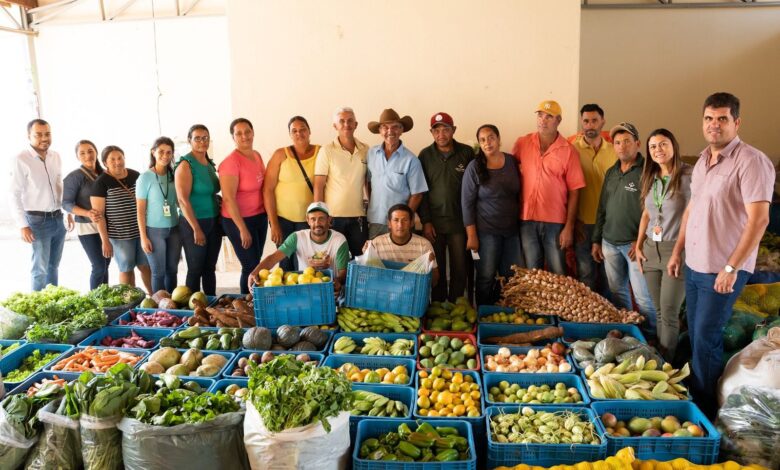 PRODUTORES RURAIS ASSISTIDOS PELO PROGRAMA GERMINAÇÃO ENTREGAM MAIS DE 2 MIL QUILOS DE ALIMENTOS AGROECOLÓGICOS EM PINDAÍ