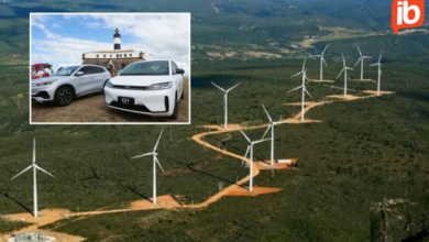 Do carro elétrico ao parque eólico, Bahia desponta no cenário nacional e mostra fôlego em momento de franco desenvolvimento