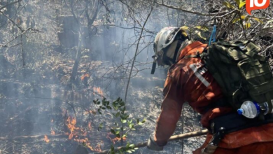 Prefeitura de Morro do Chapéu aciona Bombeiros Militares para combater incêndios
