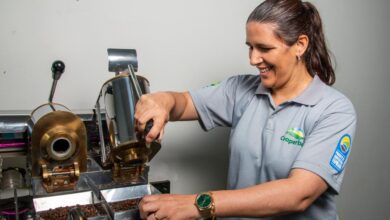 Governo da Bahia estrutura rede de produção de café de alto padrão da agricultura familiar