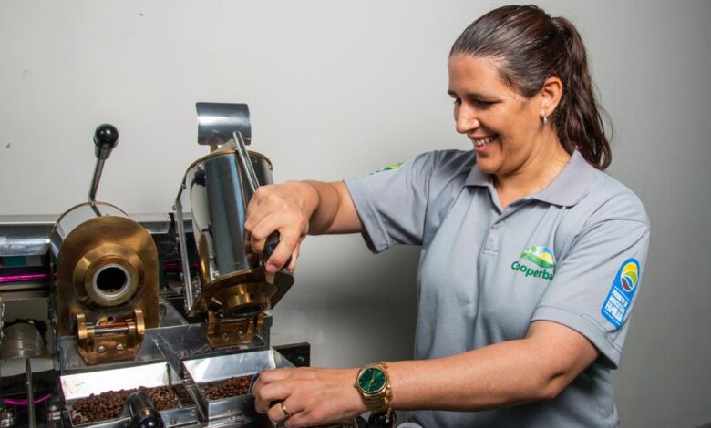 Governo da Bahia estrutura rede de produção de café de alto padrão da agricultura familiar