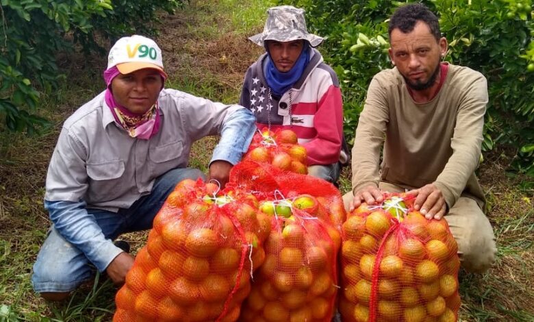 Projeto Lagos do São Francisco é documentado em série de vídeos
