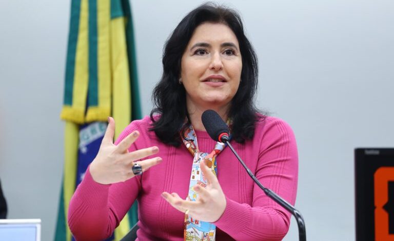 Simone Tebet diz na Câmara que a reforma tributária é a "bala de prata" do governo