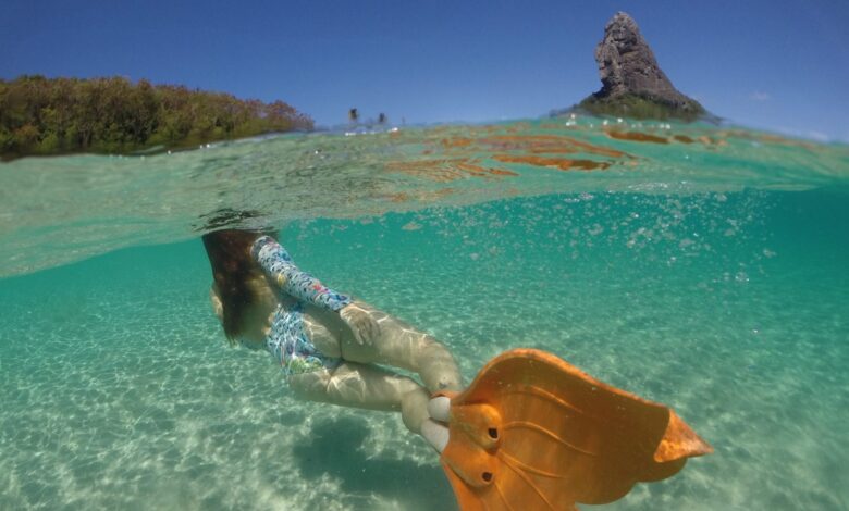 Fernando de Noronha concorre a três indicações no “Oscar do turismo”