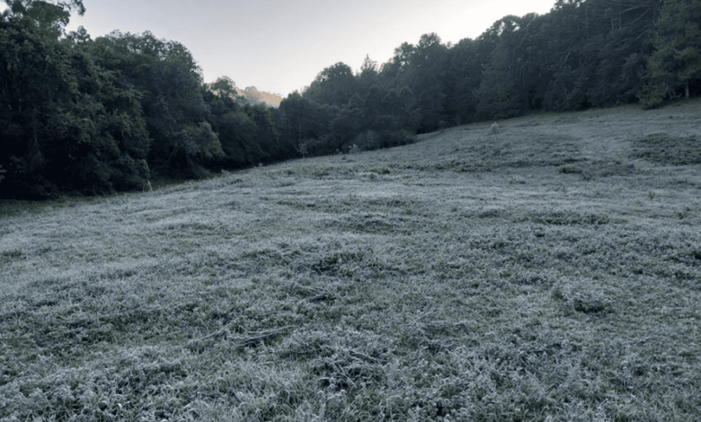 Monte Verde (MG) registra temperatura menor que 0°