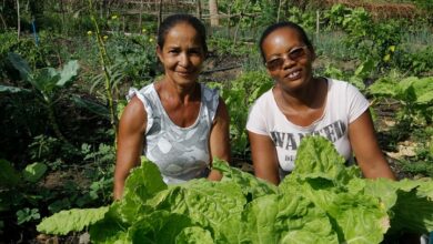 Política Estadual de Agroecologia defende biodiversidade e incentiva práticas sustentáveis na Bahia