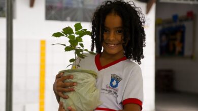 Drive Thru Solidário distribui 800 mudas de plantas e arrecada mais de 700 kg de alimentos em Lauro de Freitas