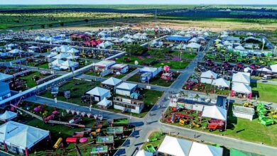 É amanhã! Feira da Agricultura Familiar terá Empório climatizado durante a Bahia Farm Show