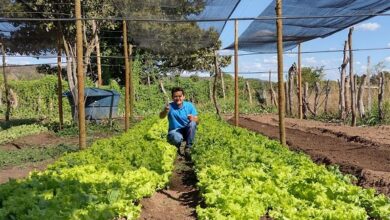 Famílias de São Desidério celebram independência financeira com a comercialização de alimentos para o PNAE