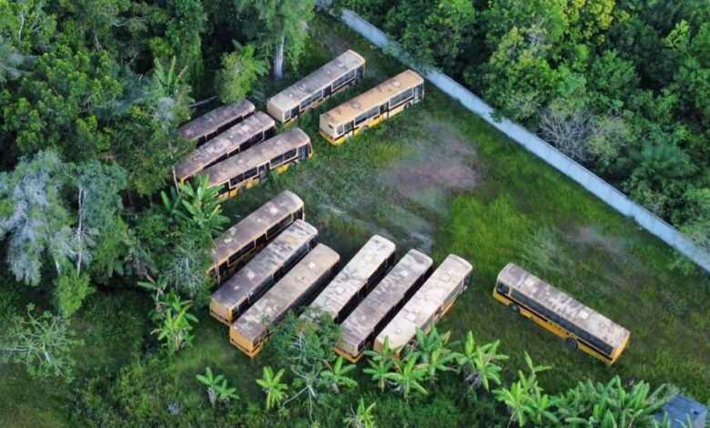 Ônibus apreendidos por desvios na gestão Cláudia Oliveira voltam para prefeitura de Porto Seguro