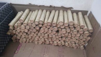 POLÍCIA DESCOBRE FABRICAÇÃO DE ESPADAS EM RESIDÊNCIA DE CRUZ DAS ALMAS