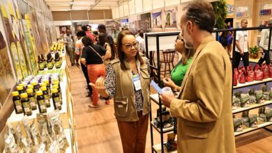 Agricultura familiar mostra robustez com produtos e logística na Super Bahia 2023