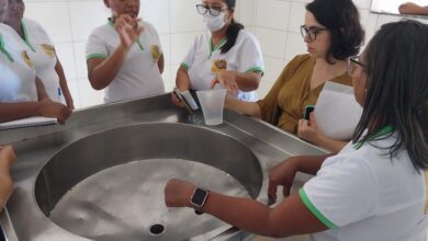 Capacitação e agroindústria impulsionam potencial econômico e social de comunidade rural de Remanso
