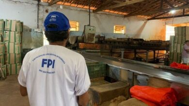 FISCALIZAÇÃO ENCONTRA MAIS DE 20 TRABALHADORES IRREGULARES EM FAZENDA NA BAHIA