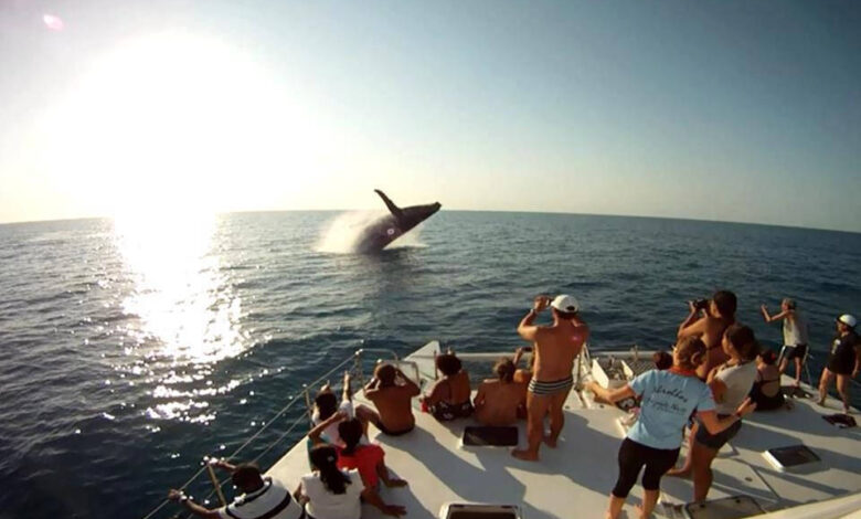 PRADO-BA SE PREPARA PARA RECEBER TURISTAS NA TEMPORADA JUBARTES