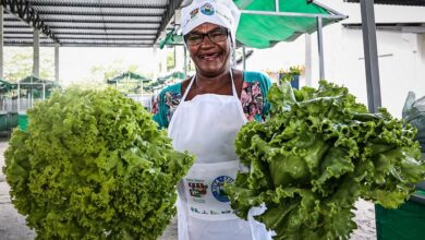 Requalificação e construção de mercados municipais impulsionam agricultura familiar na Bahia