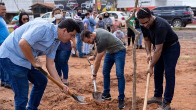 ‘PLANTAMOS 30 MIL ÁRVORES EM LEM; QUEREMOS SER MODELO DE ARBORIZAÇÃO URBANA’, DIZ DANILO HENRIQUE