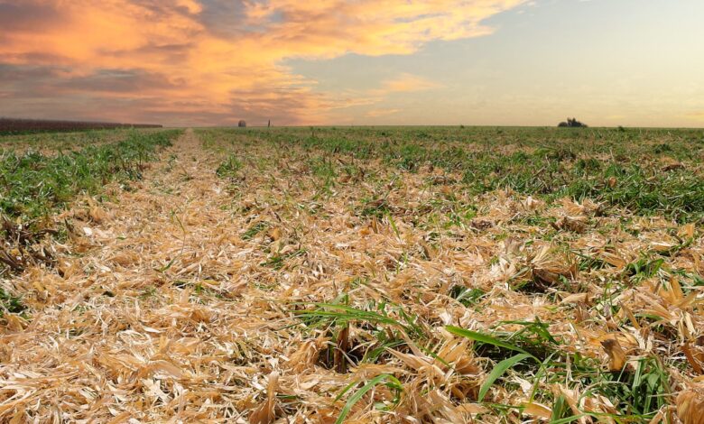 Aiba e FEBRAPDP organizam 1º Fórum Regional do Sistema Plantio Direto do Oeste