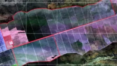 BAHIA TEVE MAIOR ÁREA DESMATADA DO CERRADO EM 2022