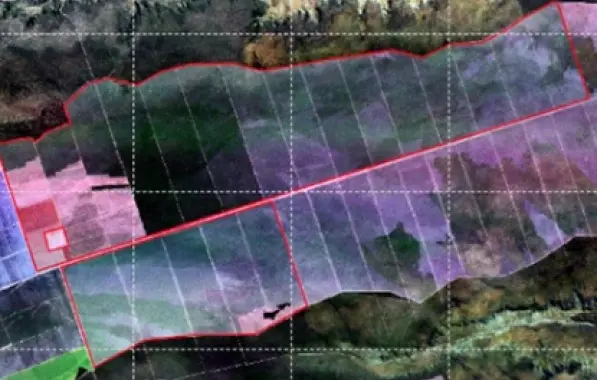 BAHIA TEVE MAIOR ÁREA DESMATADA DO CERRADO EM 2022