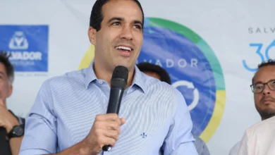 BRUNO REIS REVELA QUE NÚMERO DE BENEFICIÁRIOS DO BOLSA FAMÍLIA REDUZIU: 'JÁ PERDEMOS 17 MIL'