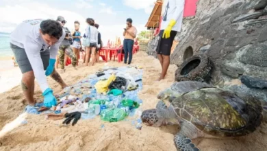 CÂMARA DE SALVADOR APROVA PL QUE INCENTIVA CULTURA OCEÂNIA NAS ESCOLAS